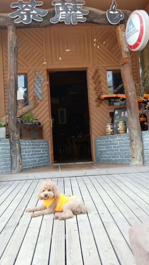 登封攀登国际青年旅舍旅舍 外观 照片